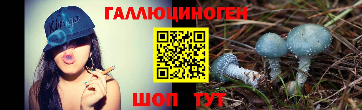 Галлюциногенные грибы Cubensis  Галлюциногенные грибы мухоморы  Вход с VPN  Сыктывкар 